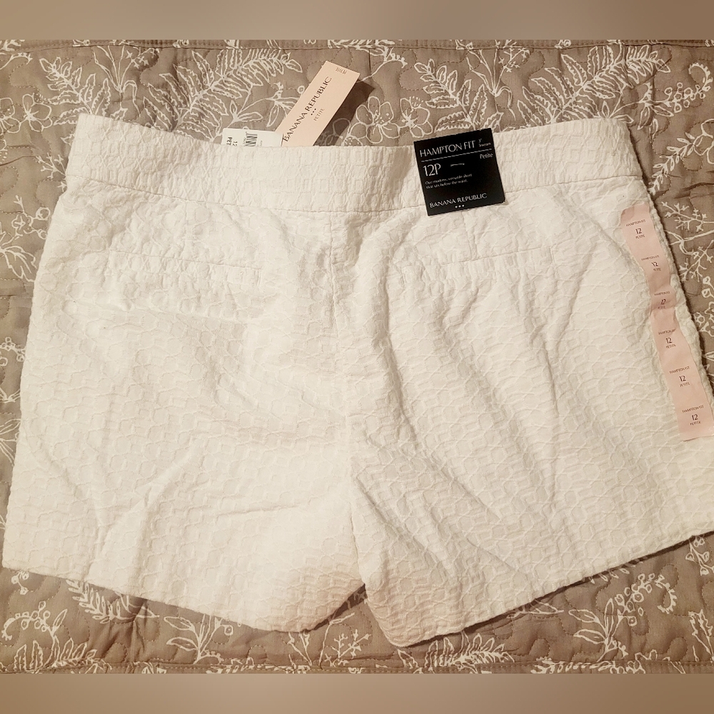 Banana Republic Hampton Fit 12P